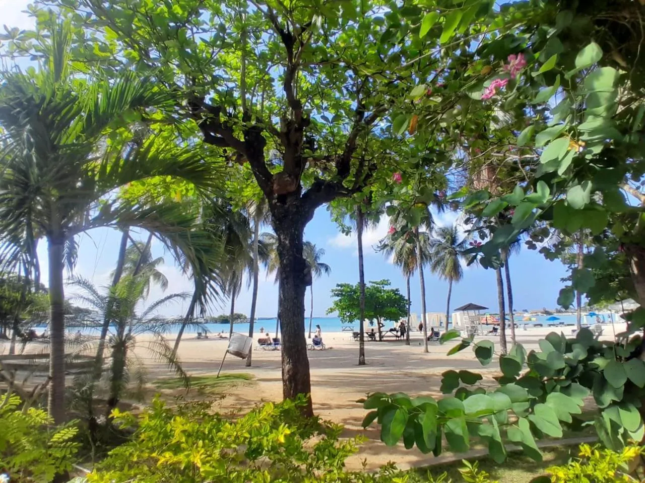 Beautiful Beachview 2 Bebroom Loft At Sandcastles Ocho Rios